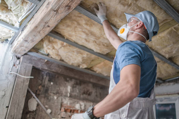 Best Insulation Maintenance and Repair in Blanco, TX