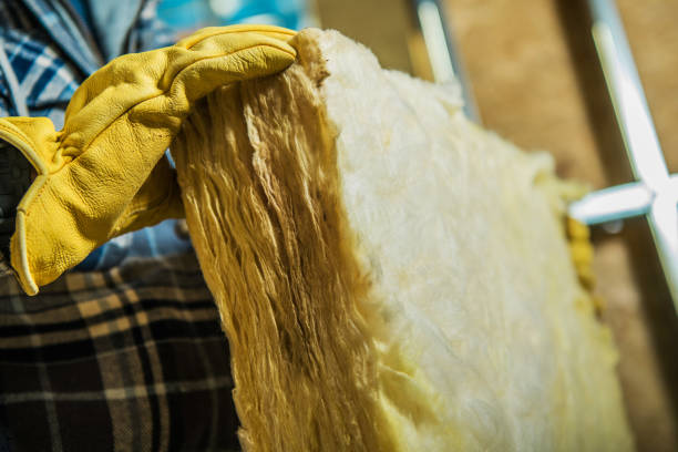 Professional Insulation Contractor in Blanco, TX